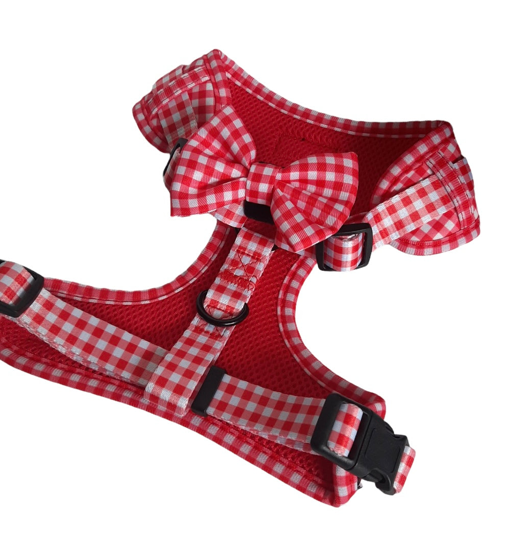 Bow Tie Red Gingham